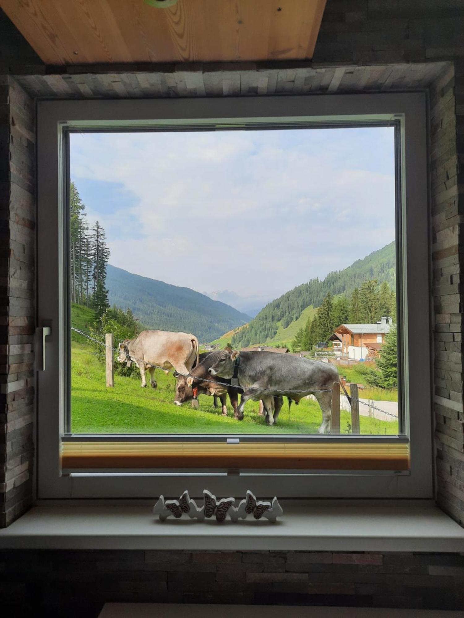 Ferienwohnung Hilber Schmirn Bagian luar foto